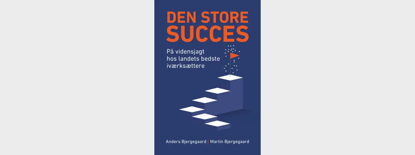 Boganmeldelse: Den Store Succes af Anders og Martin Bjerregaard