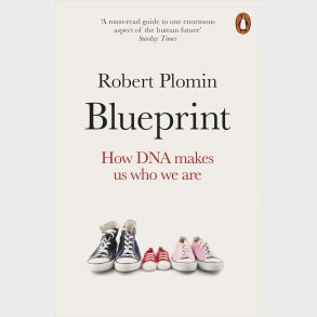 Blueprint