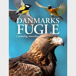 Danmarks fugle