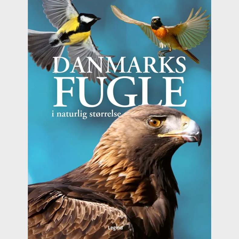 Danmarks fugle