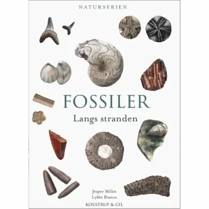 FOSSILER