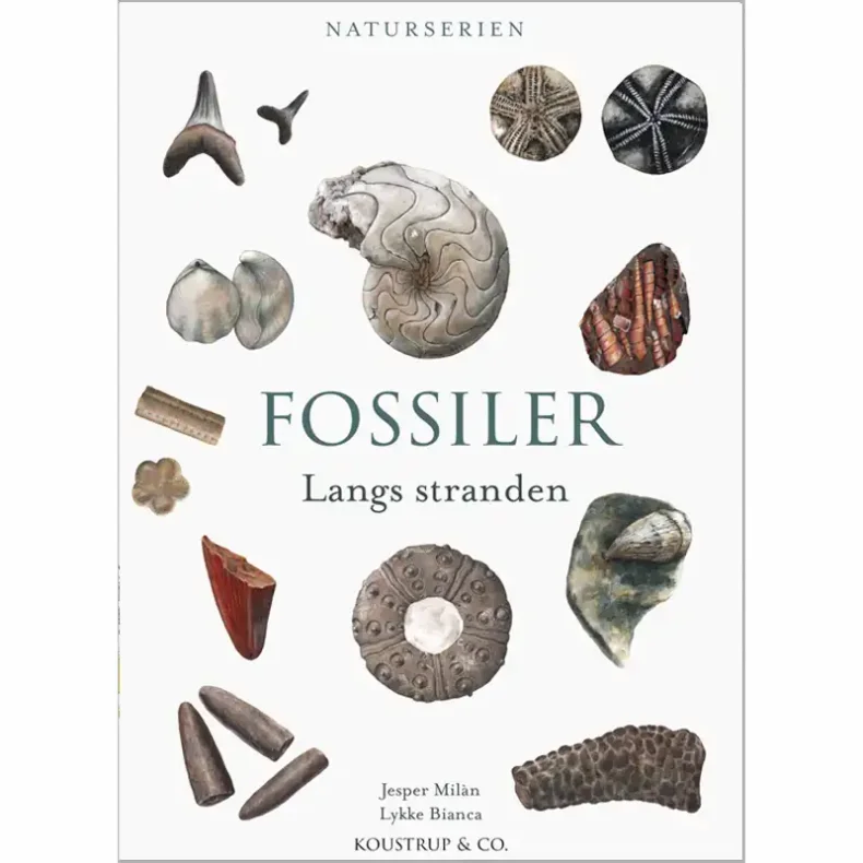FOSSILER