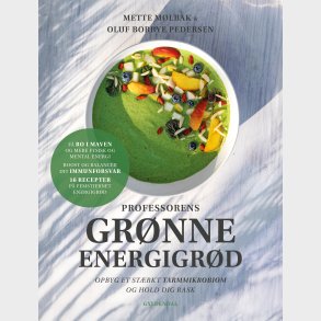 Professorens gr�nne energigr�d