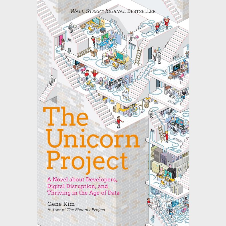 The Unicorn Project